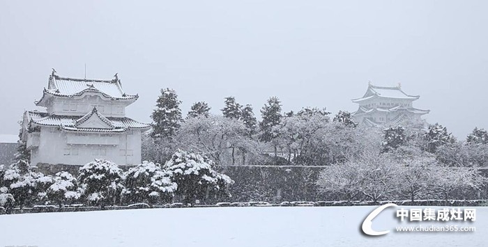 天氣進(jìn)入“速凍”模式，什么和下雪天更配呢？