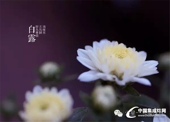 白露至秋意濃，火星一號教你怎么應(yīng)對秋寒