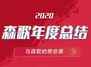 森歌集成灶2020年度報(bào)告移動版圖片 (14)