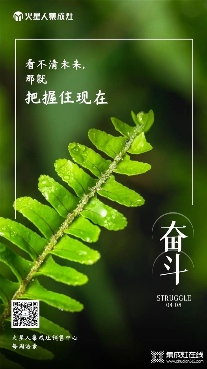 火星人集成灶每周語(yǔ)錄！