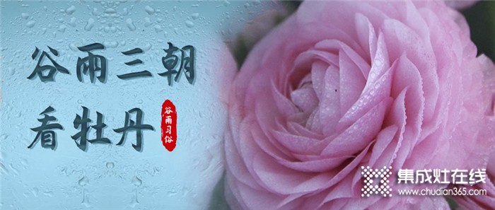 莫尼集成灶：今日谷雨，萬物生長宜播種，宜吃春！