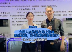 力巨人在終端布局上取得哪些成績，如何實現(xiàn)戰(zhàn)略目標？ ()