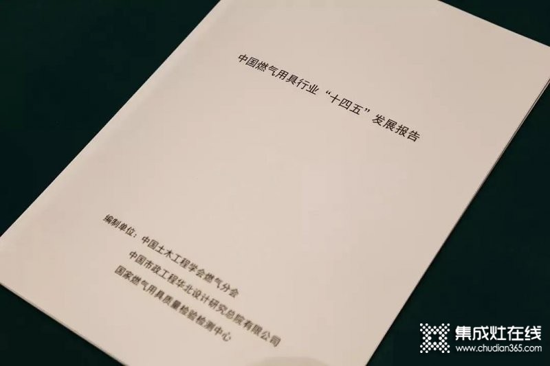 《中國(guó)燃?xì)饩咝袠I(yè)“十四五”發(fā)展報(bào)告》重磅首發(fā)，從多方面指出行業(yè)發(fā)展建議意見(jiàn)！_2