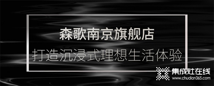 森歌南京分公司攜四店盛大開業(yè)，探索理想廚房生活的可能