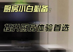 佳歌語(yǔ)音蒸烤變頻集成灶X6ZK——多種烹飪功能“張口”即來(lái)，真正做到解放雙手 ()