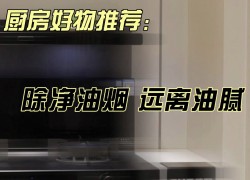 佳歌語音蒸烤變頻集成灶X6ZK——有效溶解油污，輕松搞定清潔與烹飪 (1068播放)