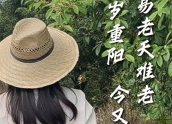 【重陽節(jié)桂花糕】“桂花雨”落在松軟的米糕上，連著桂花蜜的甜味融化在舌尖上，這份獨屬于秋天的歡迎儀式，連帶著重陽節(jié)的獻禮一起和大家分享！