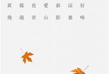 藍炬星丨二十四節(jié)氣——暑意尚存 立秋已